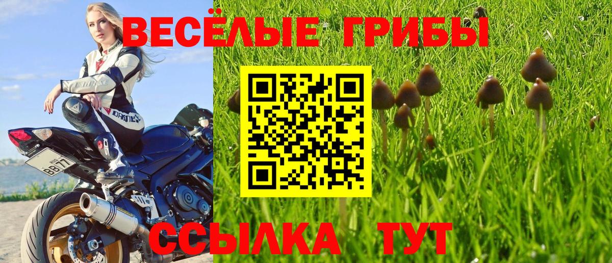 Новочебоксарск  Галлюциногенные грибы прущие грибы  Вход с VPN 