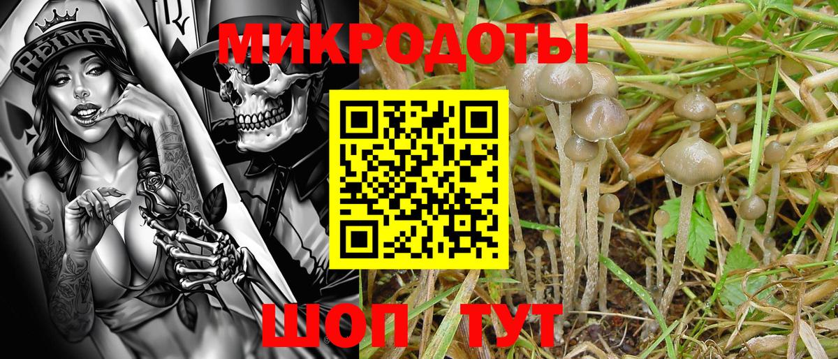 Галлюциногенные грибы Cubensis Новочебоксарск